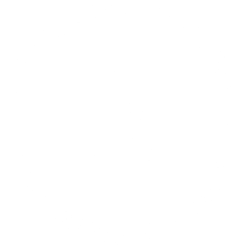 Captivating Canvases logo